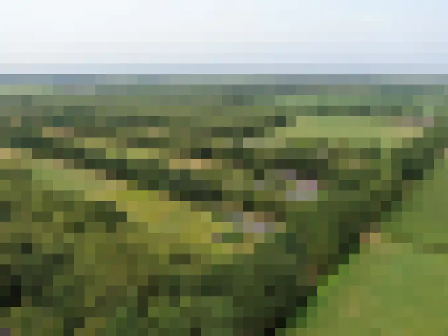 Veenschapsweg 44 Dalerpeel thumbnail 46