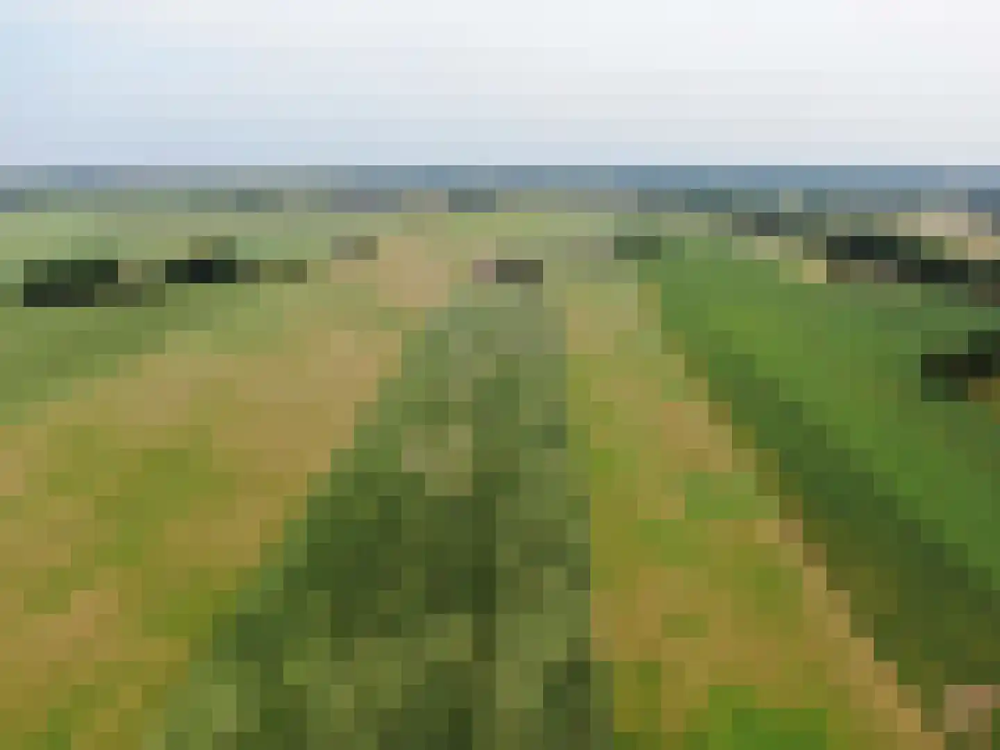 Veenschapsweg 44 Dalerpeel thumbnail 47