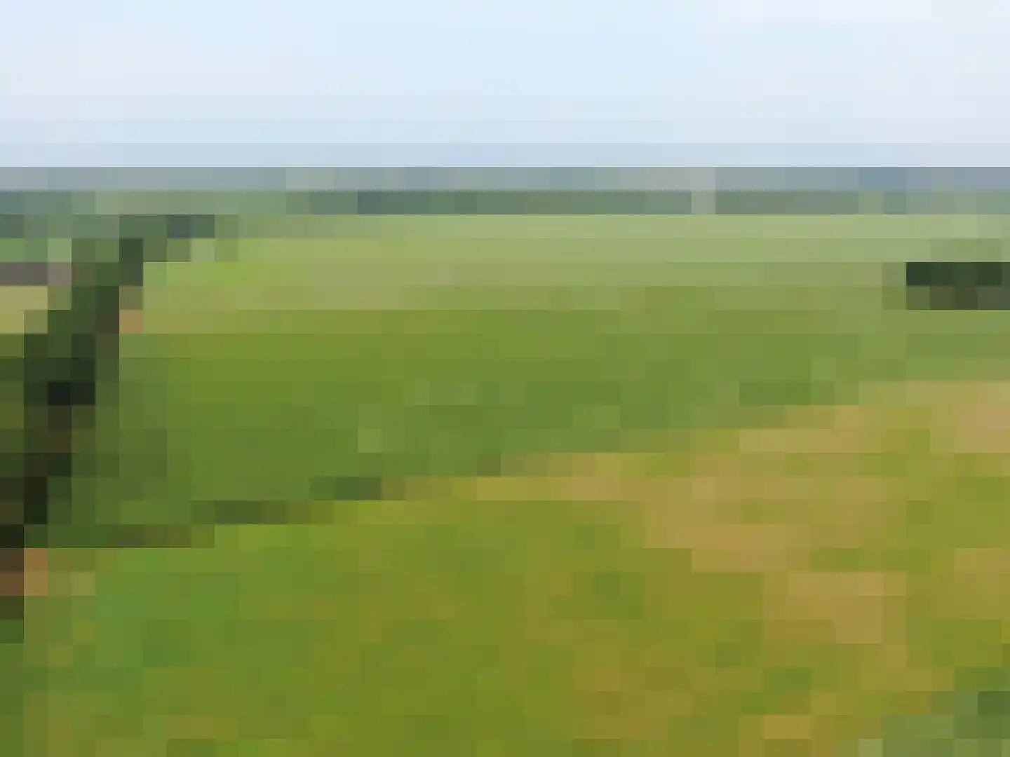 Veenschapsweg 44 Dalerpeel thumbnail 49