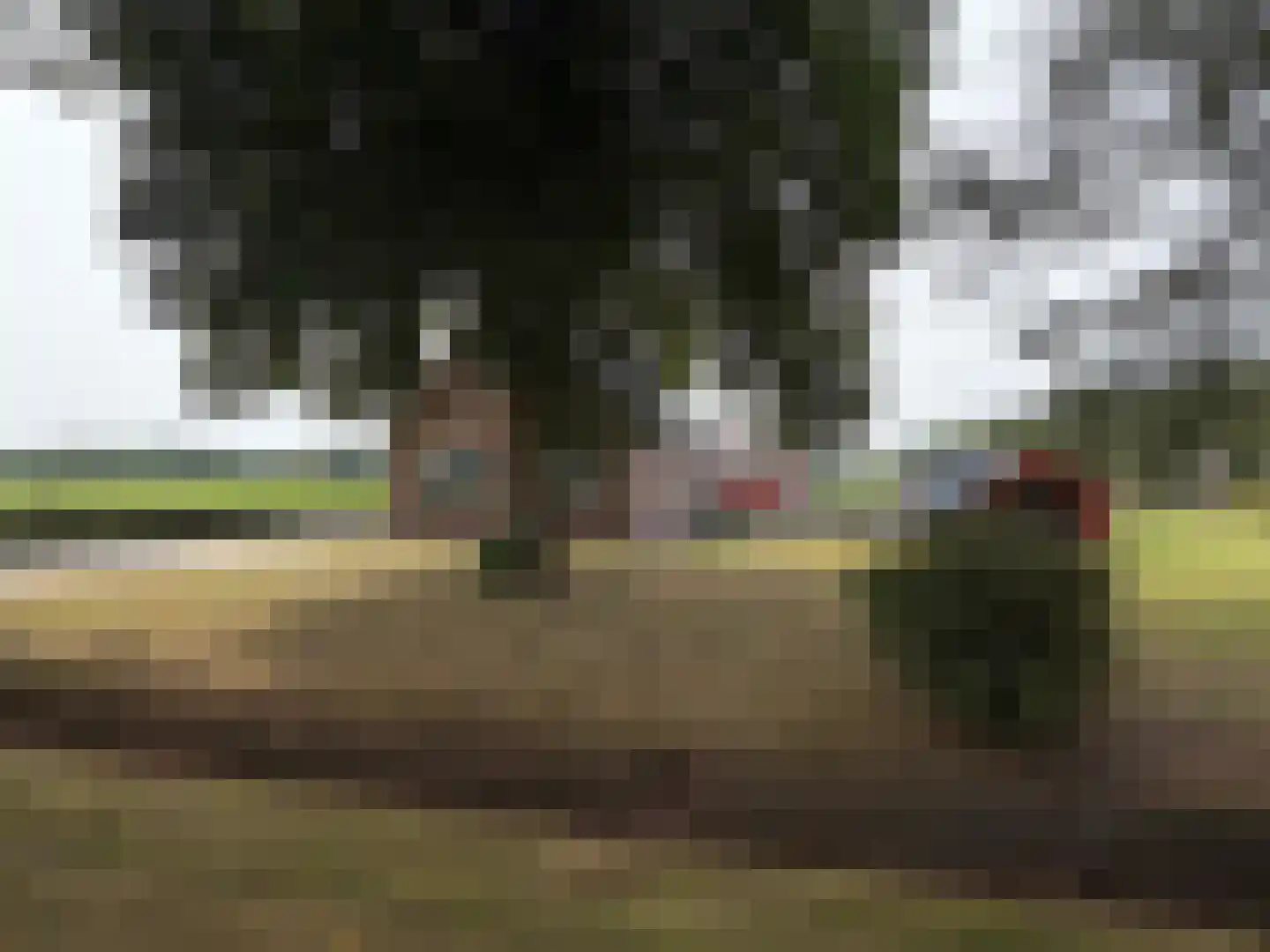 Veenschapsweg 44 Dalerpeel thumbnail 8