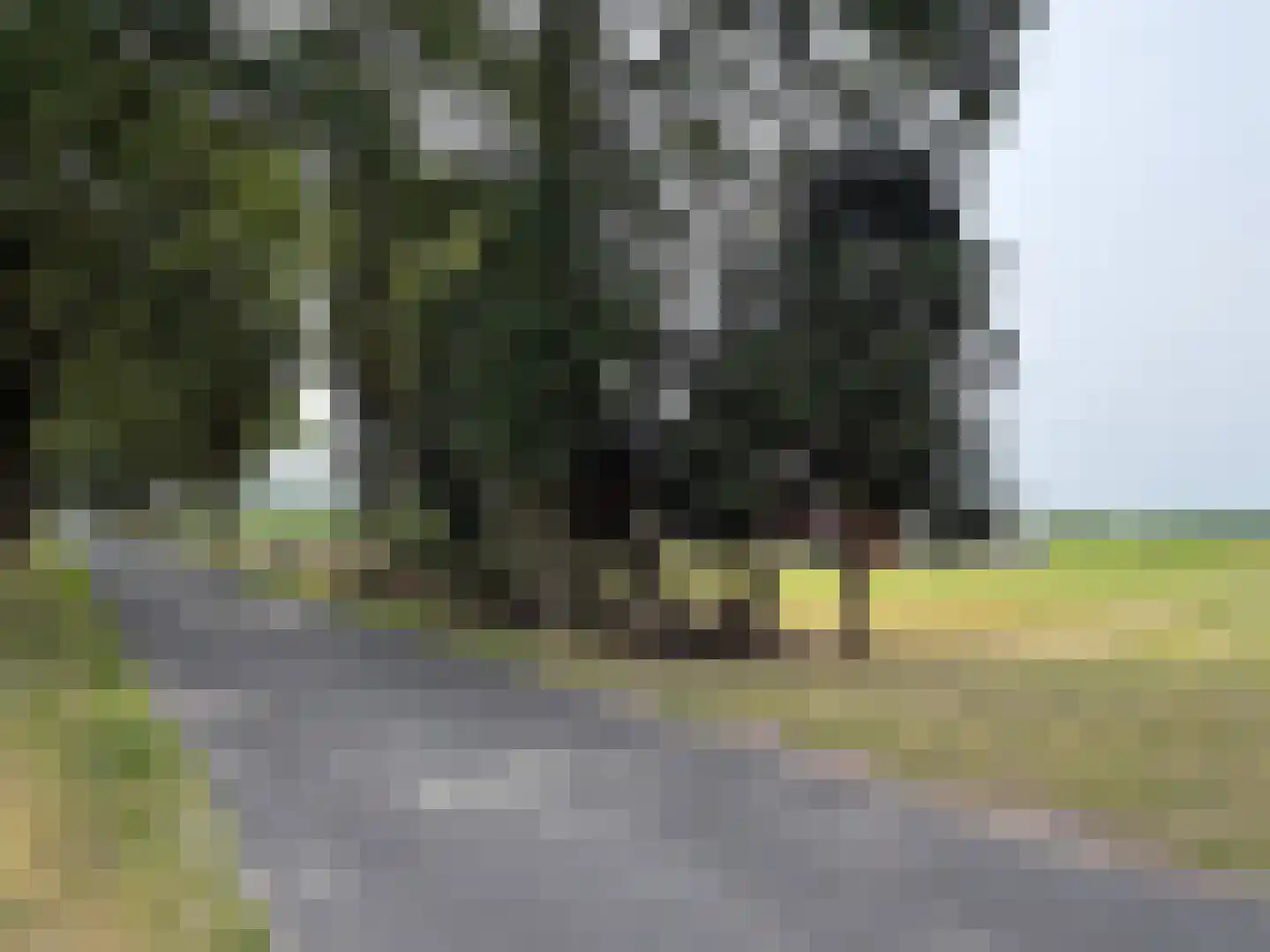 Veenschapsweg 44 Dalerpeel thumbnail 9