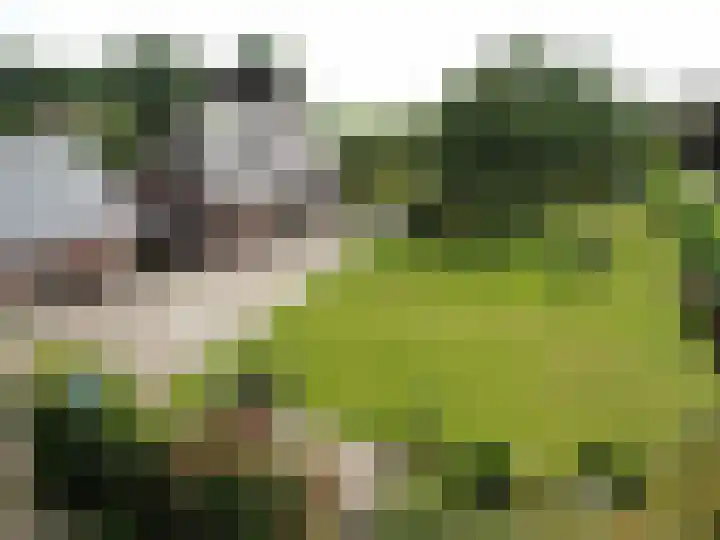 Veenschapsweg 69 Coevorden thumbnail 16