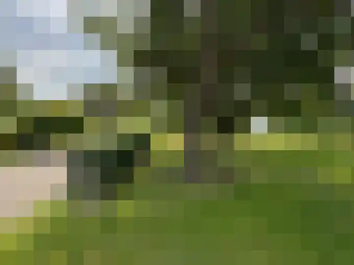 Veenschapsweg 69 Coevorden thumbnail 17