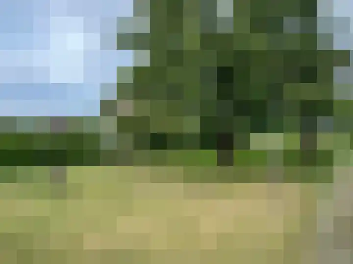Veenschapsweg 69 Coevorden thumbnail 18