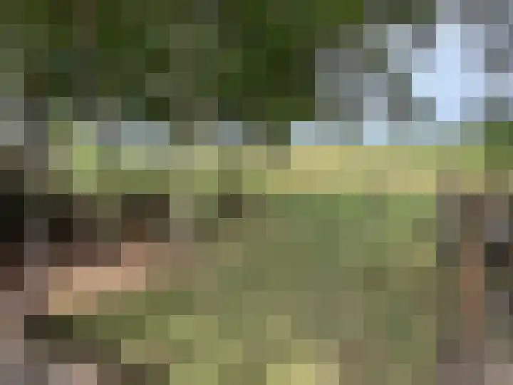 Veenschapsweg 69 Coevorden thumbnail 23
