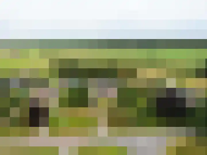 Veenschapsweg 69 Coevorden thumbnail 25