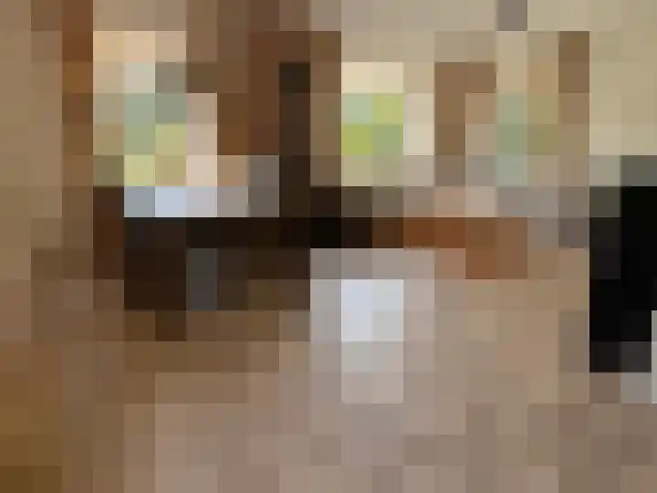 Veenschapsweg 69 Coevorden thumbnail 28