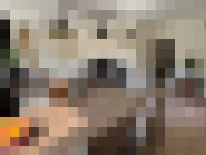 Veenschapsweg 69 Coevorden thumbnail 29
