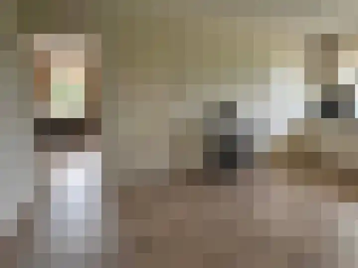 Veenschapsweg 69 Coevorden thumbnail 32