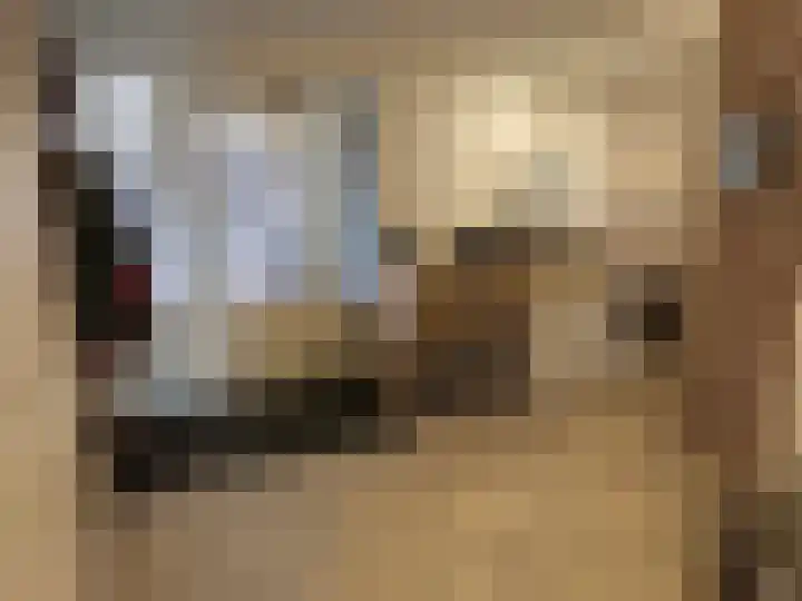 Veenschapsweg 69 Coevorden thumbnail 38