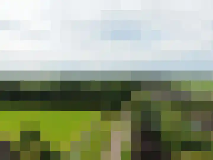 Veenschapsweg 69 Coevorden thumbnail 45