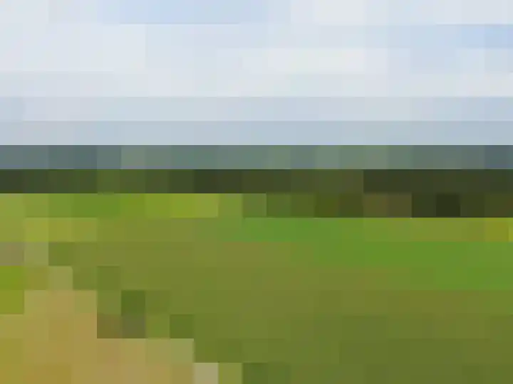 Veenschapsweg 69 Coevorden thumbnail 47