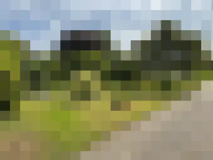 Veenschapsweg 69 Coevorden thumbnail 8