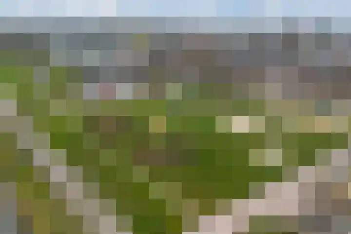 Veenscheiding 26 Drachten thumbnail 34