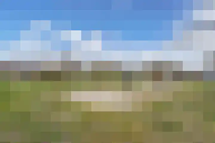 Veenscheiding 26 Drachten thumbnail 35