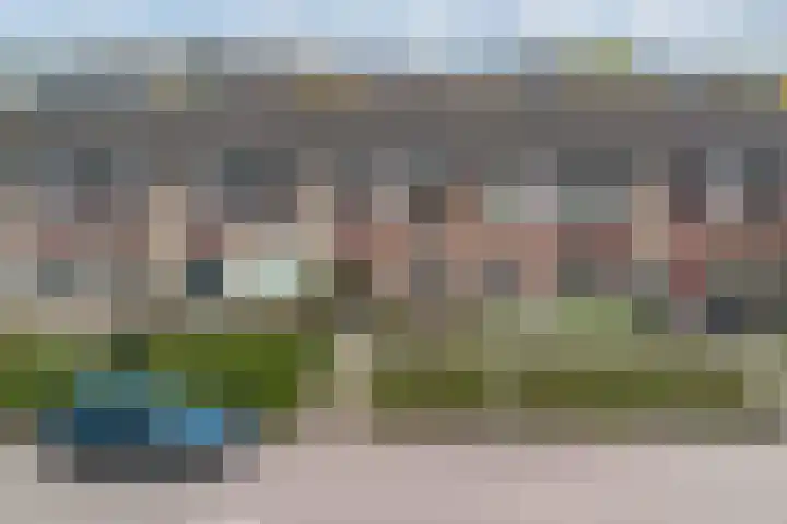 Veenscheiding 26 Drachten thumbnail 6