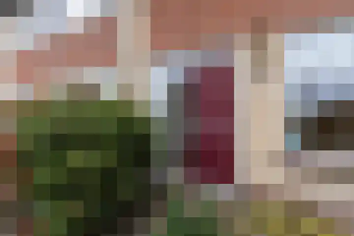 Veenscheiding 26 Drachten thumbnail 8
