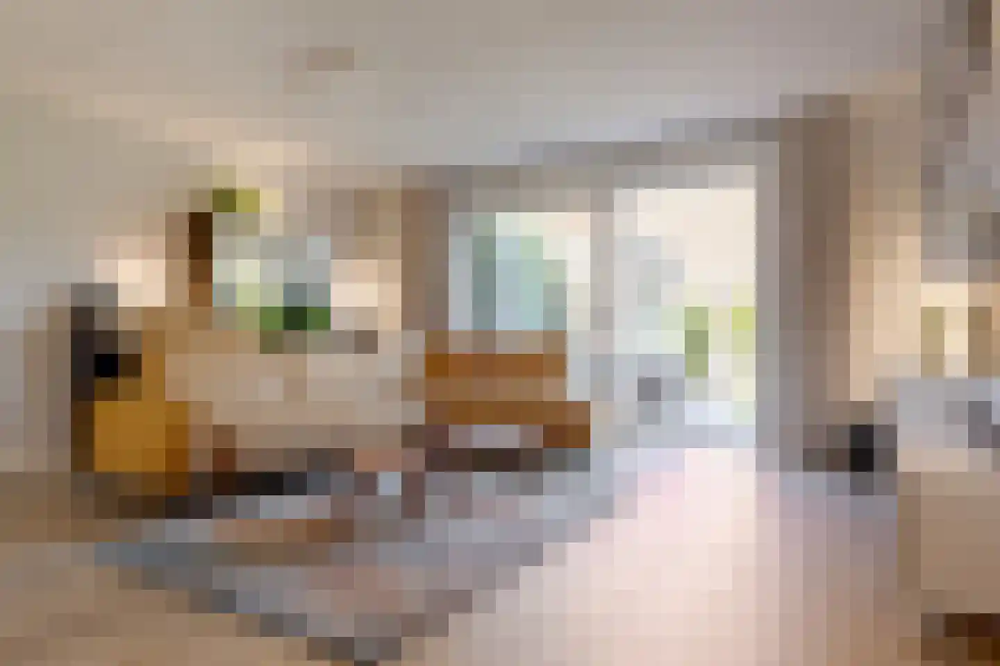 Veenschouw 10 Hattem thumbnail 12