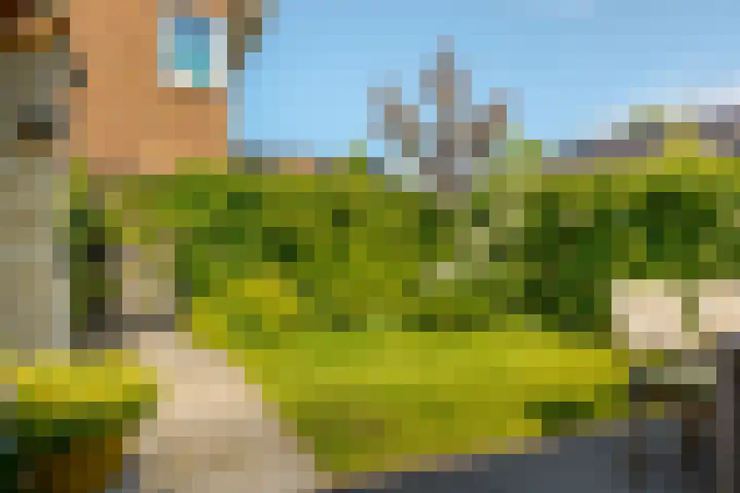Veenschouw 10 Hattem thumbnail 27