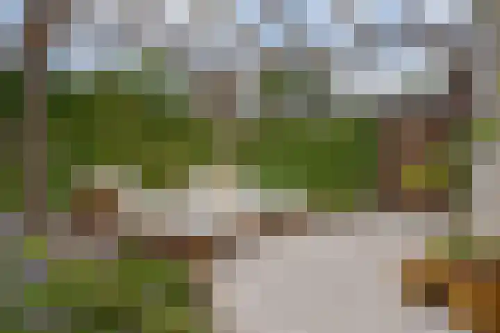 Veenschouw 26 Hattem thumbnail 32