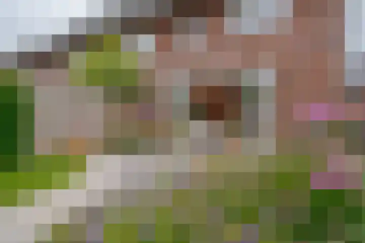 Veenschouw 26 Hattem thumbnail 4