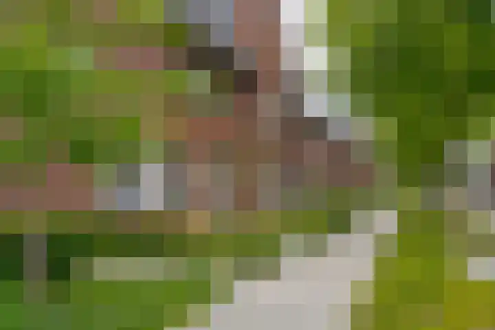 Veenschouw 26 Hattem thumbnail 6