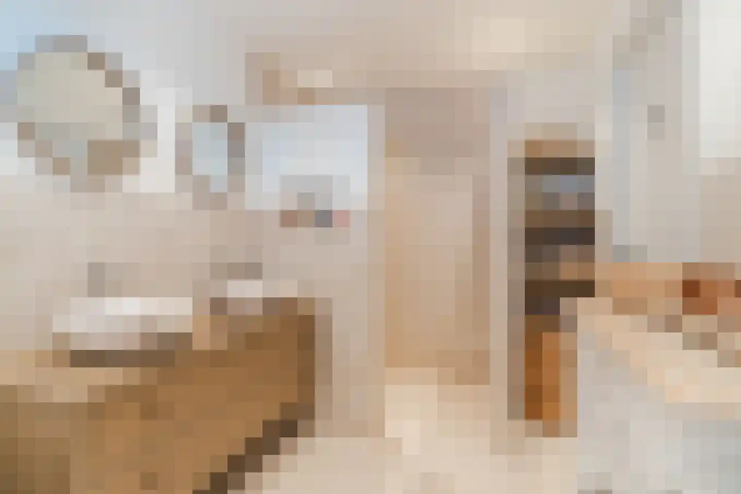 Veense Put 109 Veen thumbnail 15