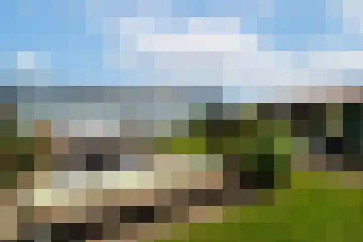 Veense Put 126 Veen thumbnail 15