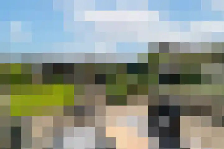 Veense Put 126 Veen thumbnail 16