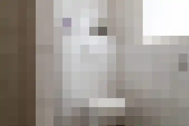 Veense Put 15 a Veen thumbnail 16