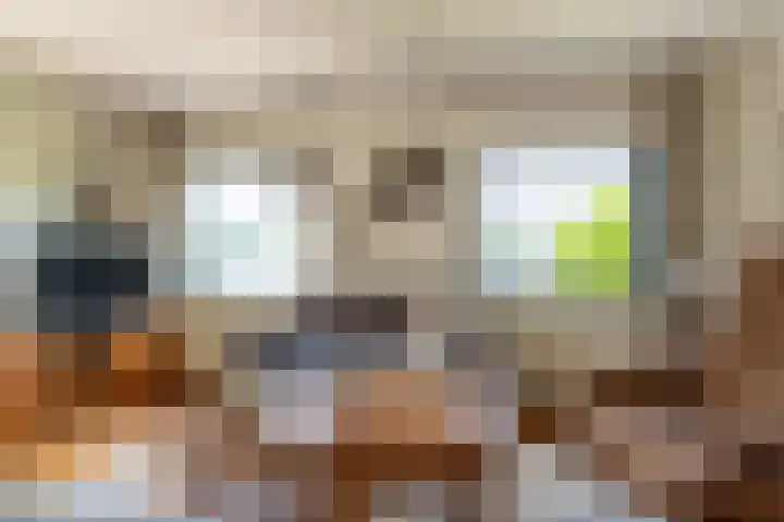 Veense Put 50 Veen thumbnail 10