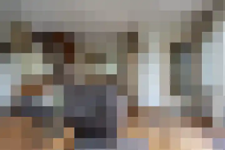 Veense Put 50 Veen thumbnail 11