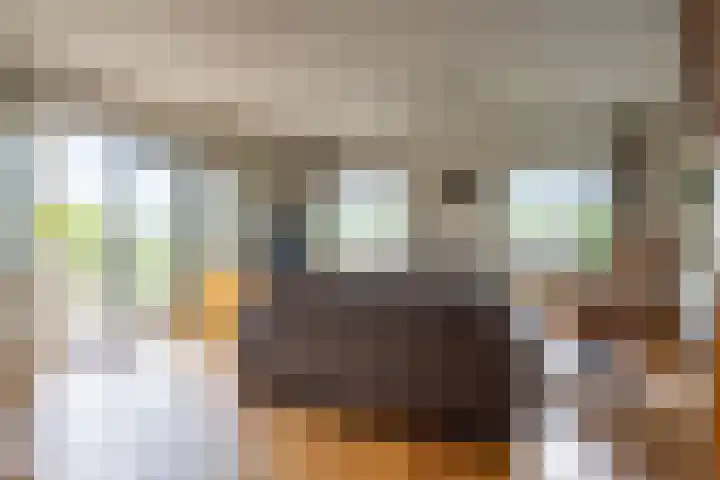 Veense Put 50 Veen thumbnail 12