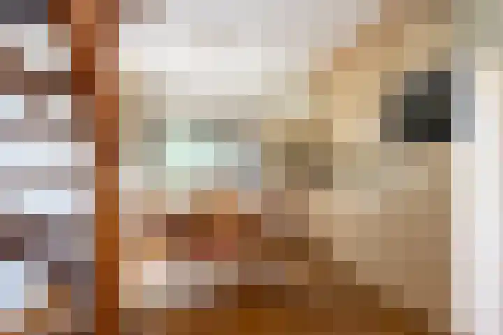 Veense Put 50 Veen thumbnail 13