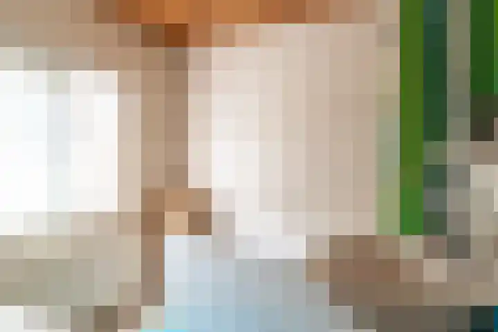 Veense Put 50 Veen thumbnail 14