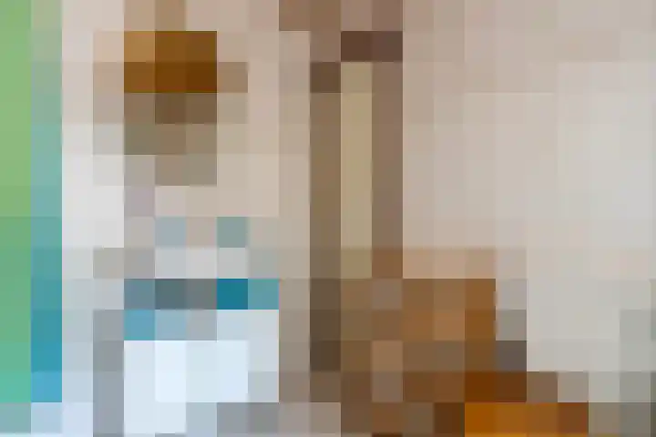 Veense Put 50 Veen thumbnail 15