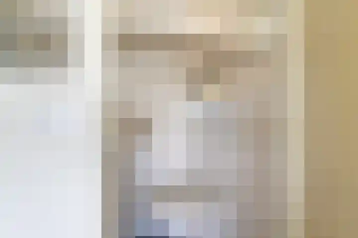Veense Put 50 Veen thumbnail 19