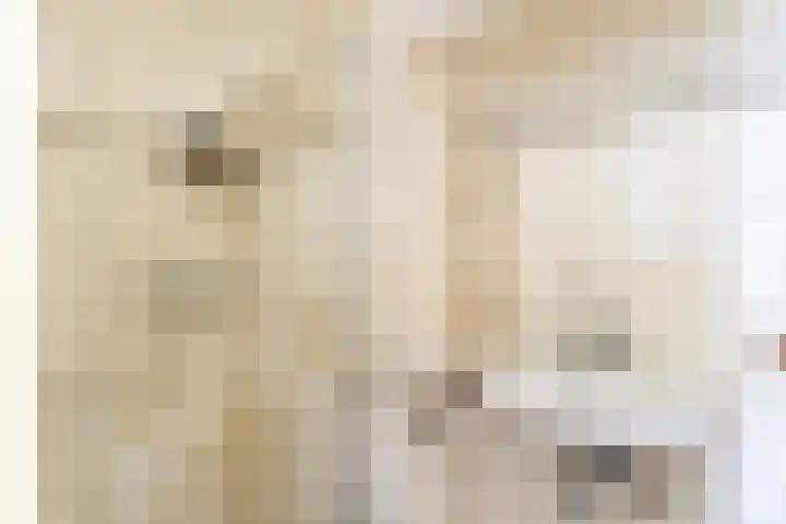 Veense Put 50 Veen thumbnail 20