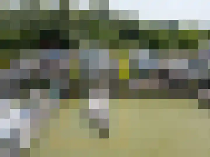 Veense Put 50 Veen thumbnail 22