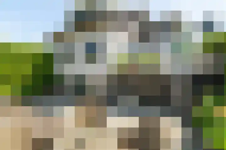 Veense Put 50 Veen thumbnail 23