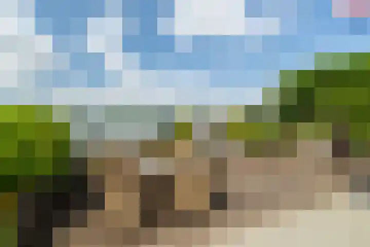 Veense Put 50 Veen thumbnail 24