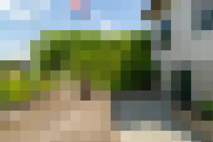Veense Put 50 Veen thumbnail 25