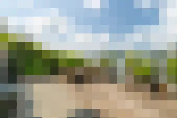 Veense Put 50 Veen thumbnail 26