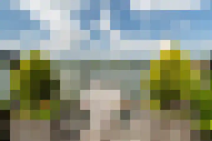 Veense Put 50 Veen thumbnail 27