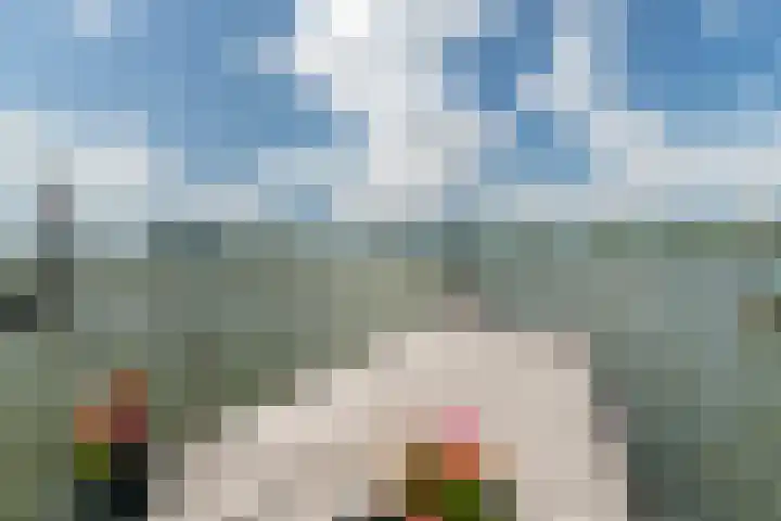 Veense Put 50 Veen thumbnail 28