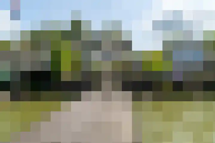 Veense Put 50 Veen thumbnail 29