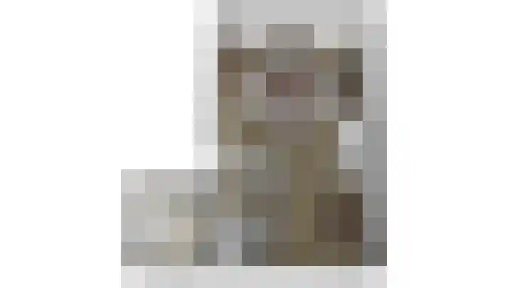 Veense Put 50 Veen thumbnail 31