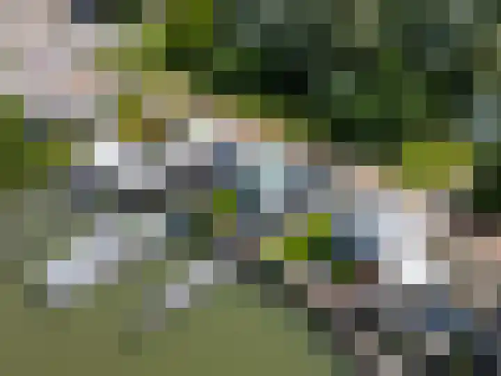 Veense Put 50 Veen thumbnail 34