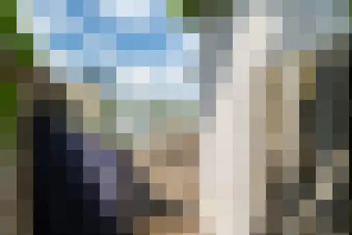 Veense Put 50 Veen thumbnail 4