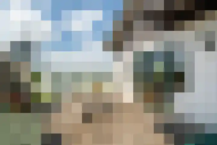 Veense Put 50 Veen thumbnail 5